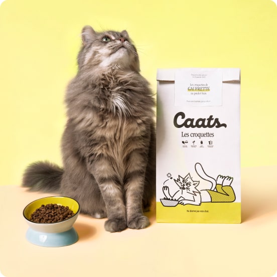 La gamme de croquettes Caats